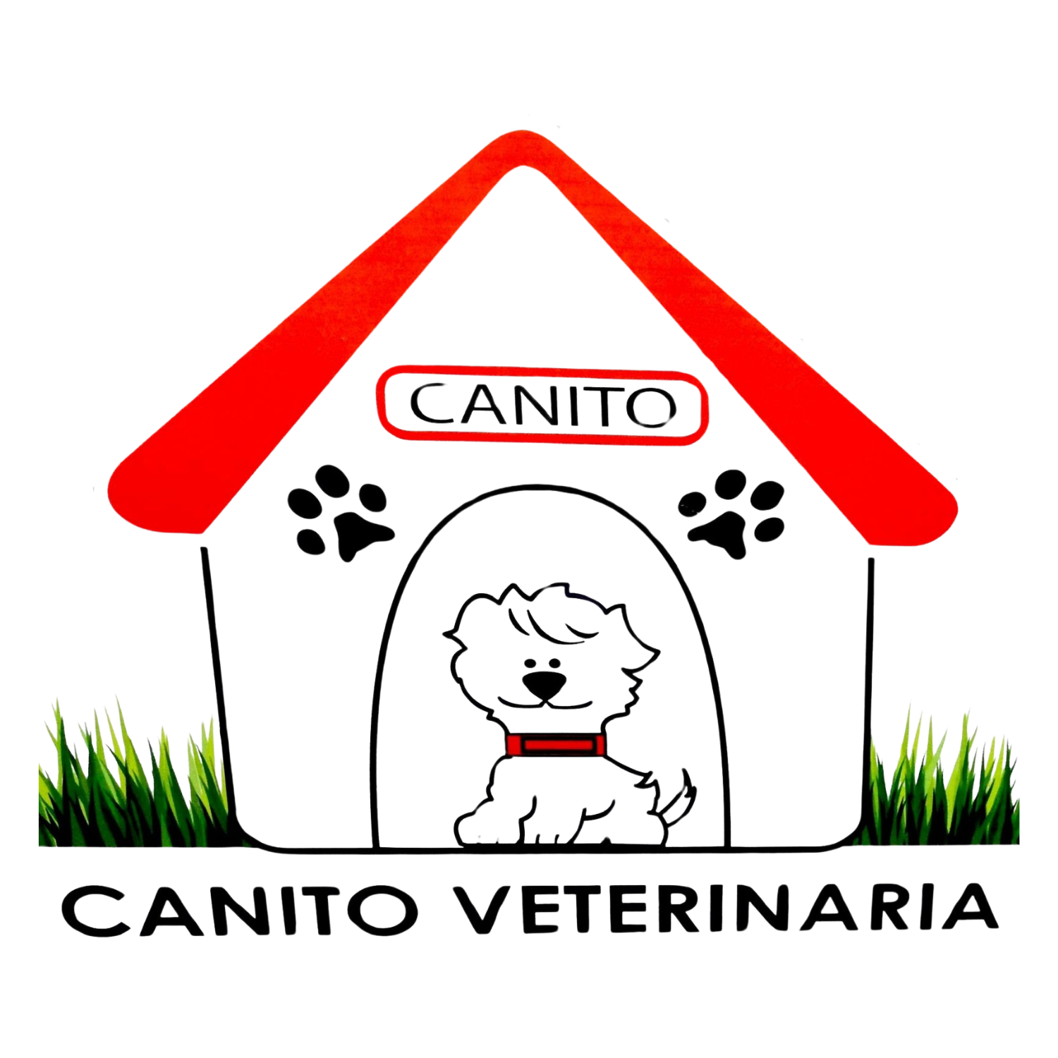 clinicaveterinariacanito.com.mx